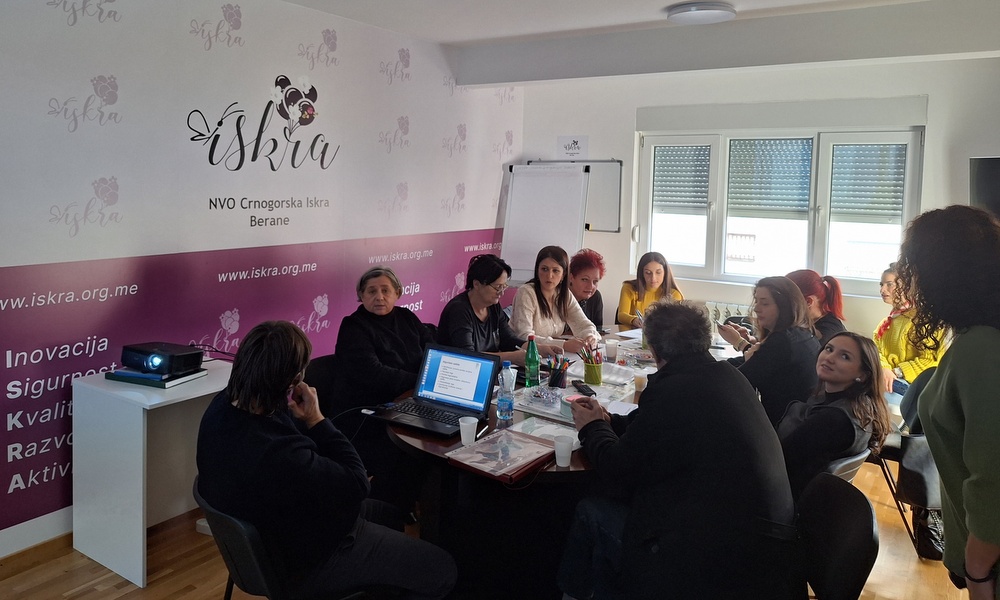 Obuka zaposlenih u socijalnoj i djecijoj zastiti Berane 2